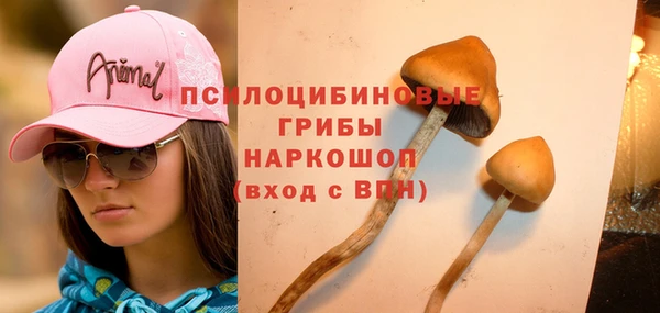 дживик Алзамай
