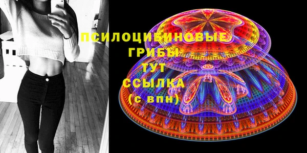 дживик Алзамай