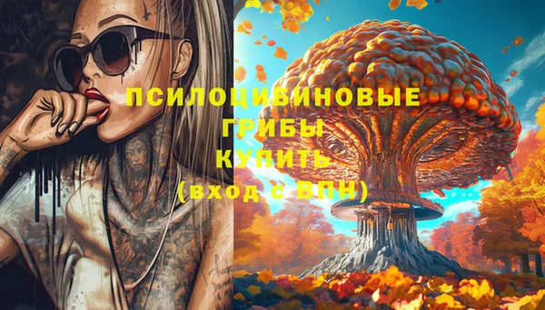 прущий лед Алексин
