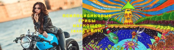 прущий лед Алексин