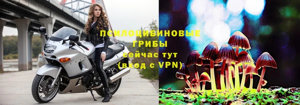 дживик Алзамай