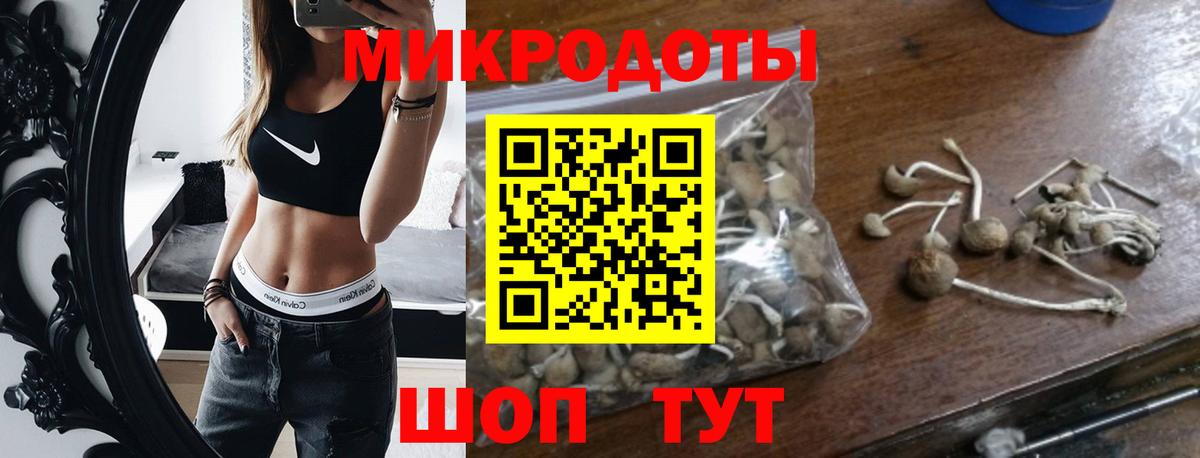 Топки  Галлюциногенные грибы Psilocybe  Вход с VPN 